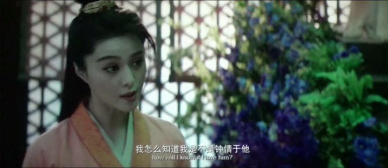王朝的女人：杨贵妃电影海报截图