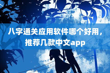 八字通关应用软件哪个好用，推荐几款中文app