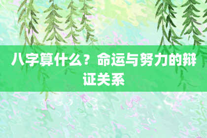 八字算什么？命运与努力的辩证关系