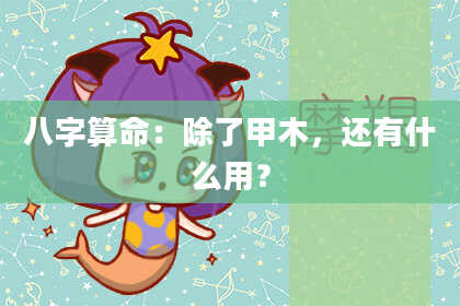 八字算命：除了甲木，还有什么用？