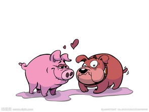 83年属猪人婚姻状况